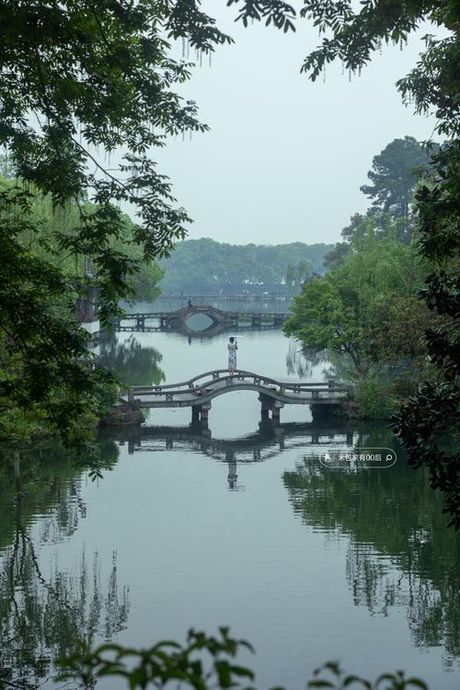 拂堤杨柳醉春烟，拂堤杨柳醉春烟，赏春首选景点！