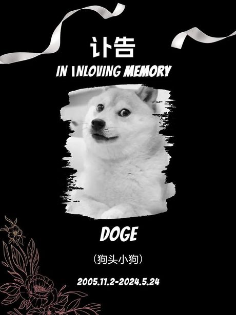 doge什么意思